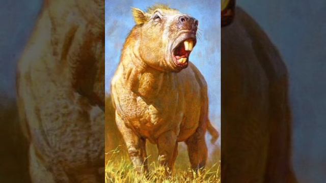 Phoberomys Pattersoni/ratzilla Reconstruction Sounds