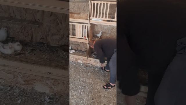 гостях у Сергея умарова г Челябинск смотреть онлайн