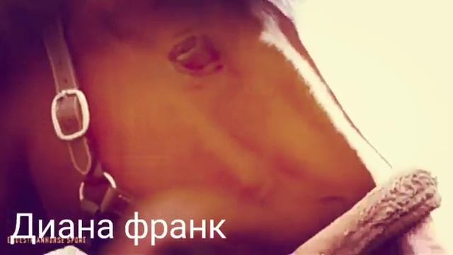 Клип про лошадей 🌺 улыбнись восходящему солнцу смотреть онлайн