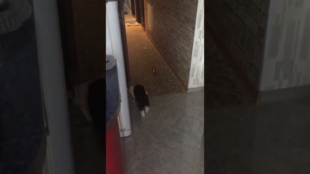 27 июня 2019 г. Вот как надо поступать с договором плохого интернет провайдера 😂😂😂 смотреть онлайн