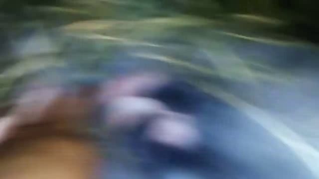 И снова окролы смотреть онлайн