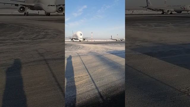 Beluga Новосибирск смотреть онлайн