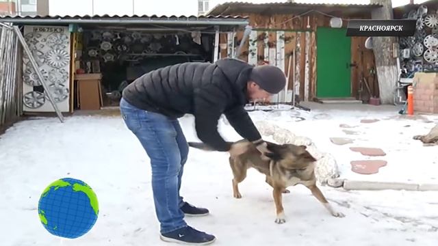 "Середина Земли. Россия" от 3 марта 2020 смотреть онлайн