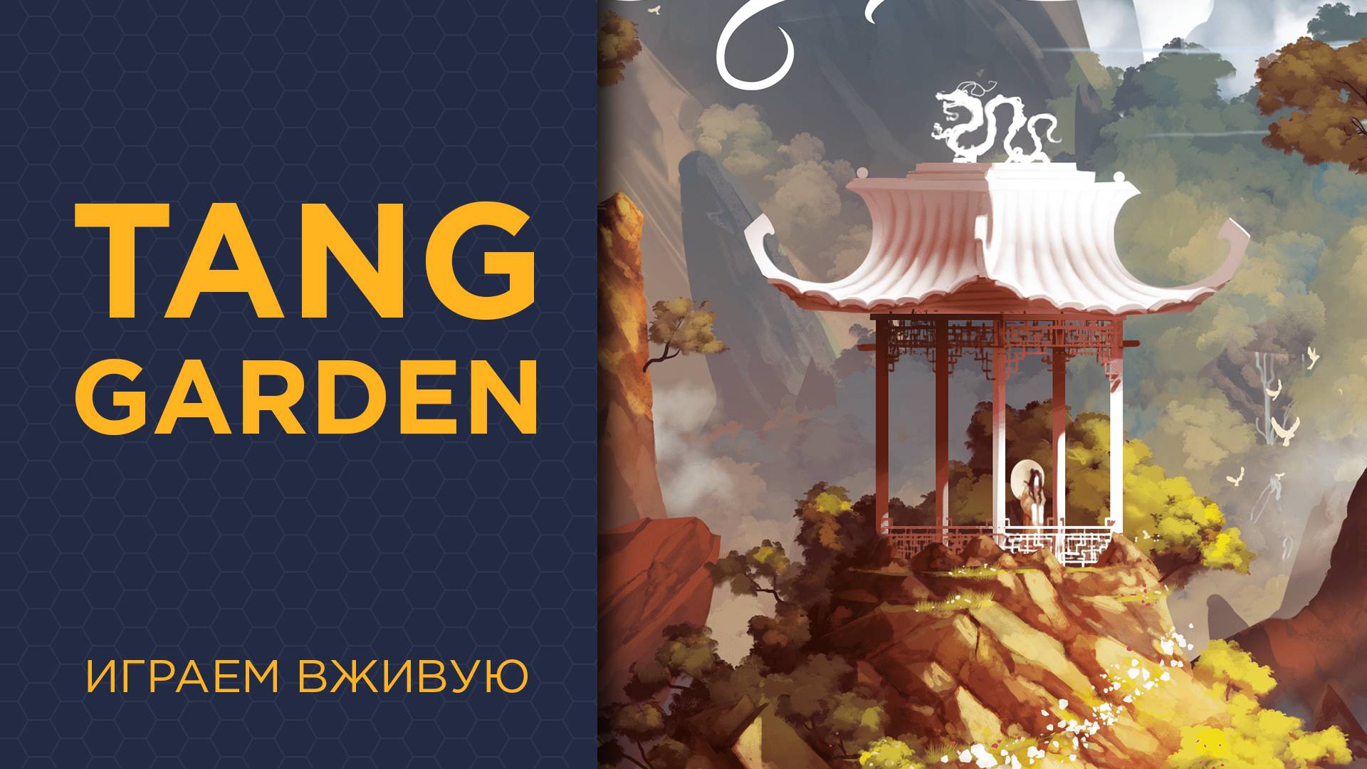Tang Garden — Играем вживую