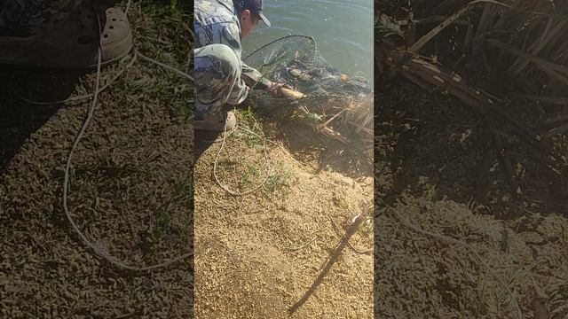 чердак рыбака