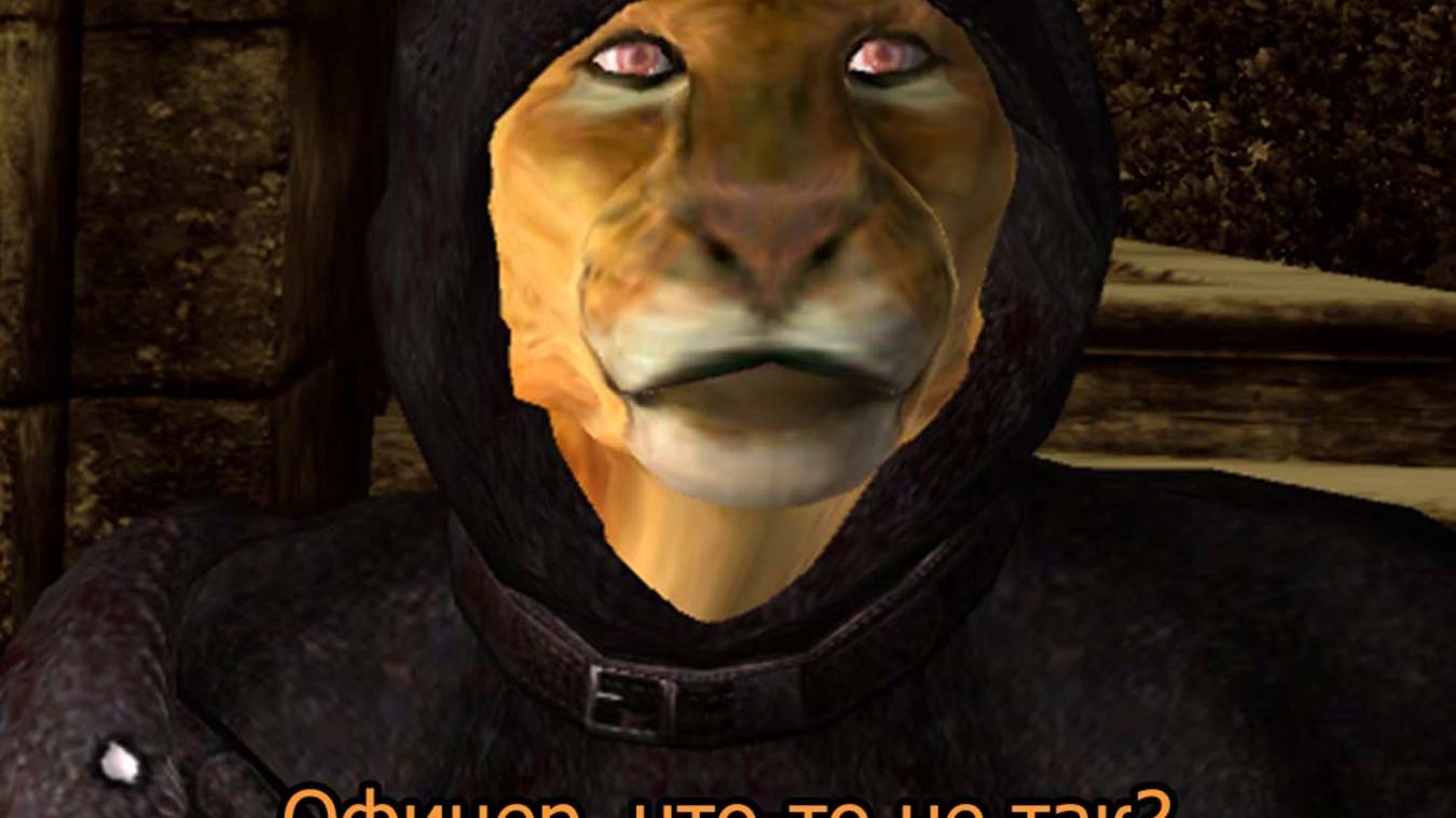 Приключения кота Купидоши в The Elder Scrols Iv Oblivion 1 сезон 3 серия охота смотреть онлайн