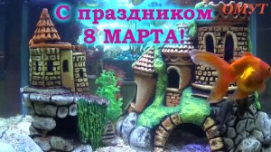 150. С ПРАЗДНИКОМ !!! РОДНЫЕ МОИ !!! УРААА !!!