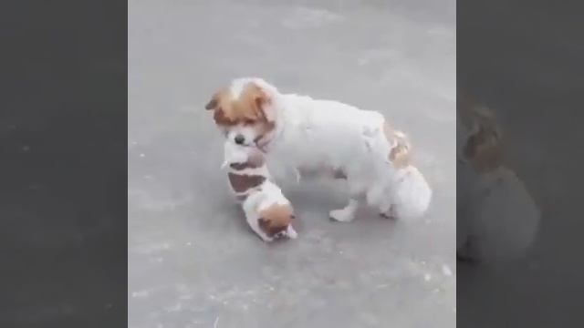Любовь и ласка смотреть онлайн