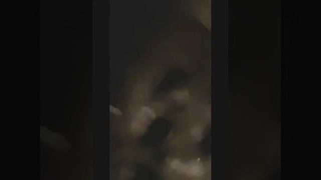 Gang Stalkers find my hidden camera April 28, 2020 смотреть онлайн