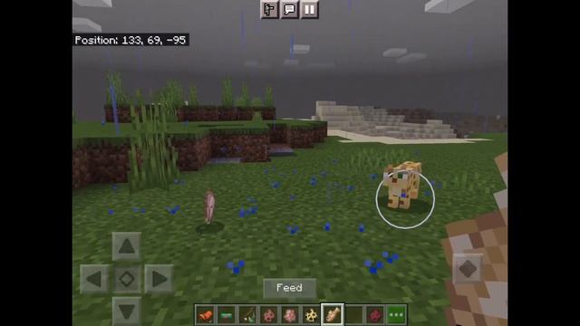 (How to tame a ocelot) in Minecraft (2021) (Full Guide)(1.17+) смотреть онлайн