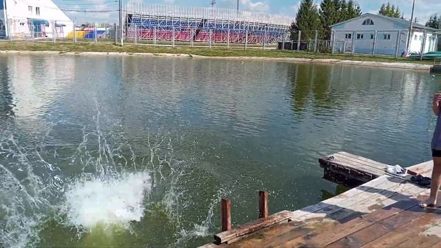 12 августа 2022 г. смотреть онлайн