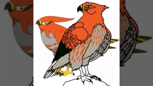 Talonflame as real hawk смотреть онлайн