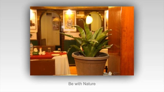 Brikshya Restaurant & Cafe смотреть онлайн