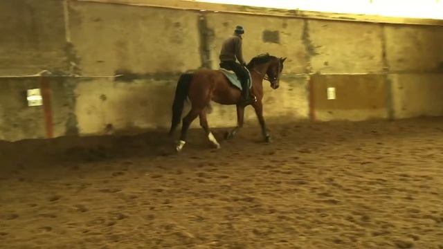 GABRIELA 04 рысьL смотреть онлайн