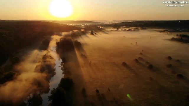 Утро, лето, туман (drone) смотреть онлайн