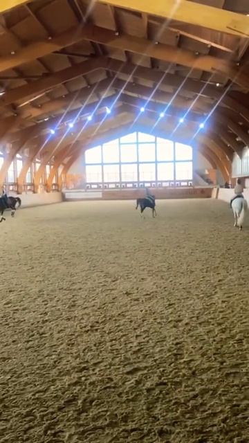 Вольт на галопе 🤗 #популярити #horse #horseenthusiast #лошади смотреть онлайн