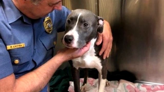 Женщина заметила в океане клетку. Достав ее, она закричала от ужаса! смотреть онлайн