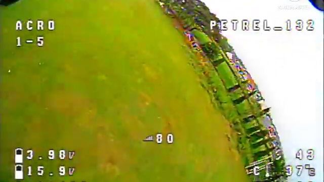 Petrel132 @ SAP Cafe 12062022 6 смотреть онлайн