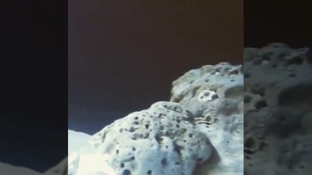 200 gallons African cichlids oct 2017 смотреть онлайн