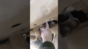 Как снять/поменять генератор на ваз 2114