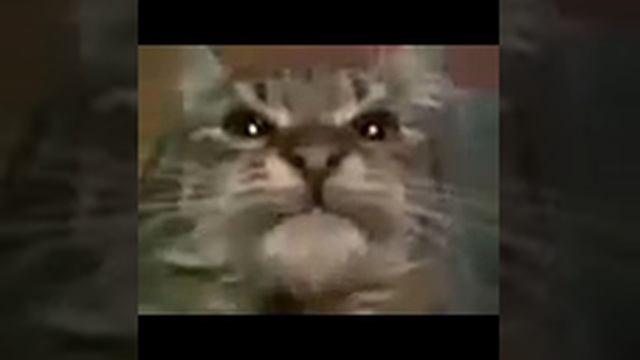 Кит ты маму мав? (Оригинал) смотреть онлайн