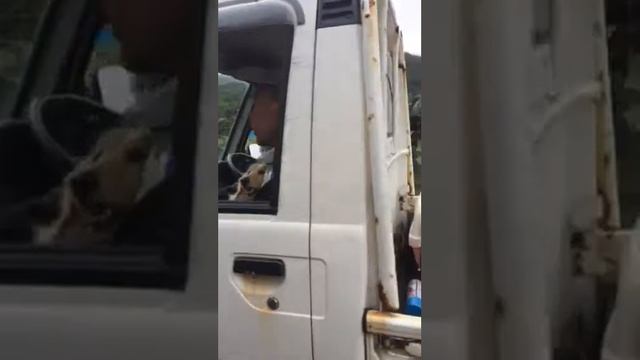 請島 請阿室２０１４・５・１１撮影 смотреть онлайн