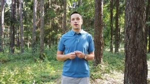 [Курс «Autodesk Revit Электрика: Продвинутый»] Заключение