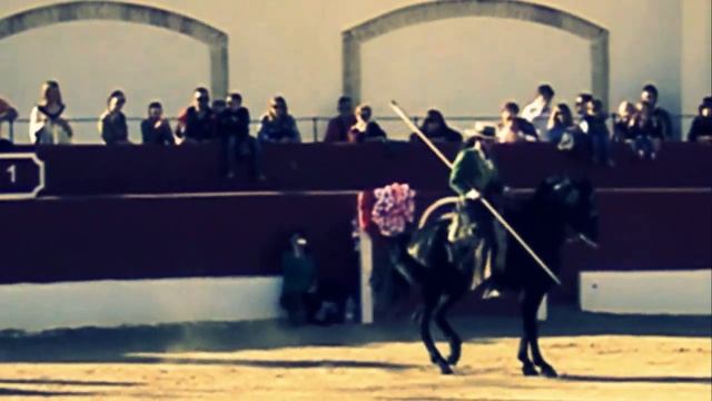 Entrevista a Sofía, La Faraona a caballo 13.038 (Talavante con 6 victorinos) . смотреть онлайн