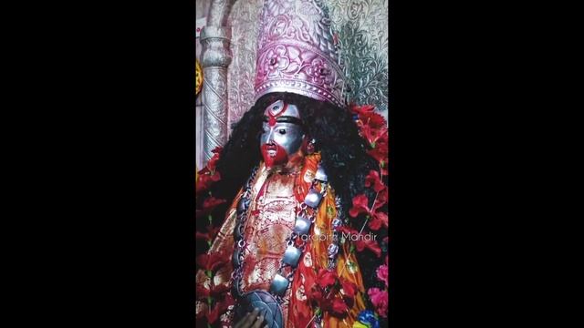 Mistress of maa Tara kali mandir|| Maa Tara Mandir|| Tara pith Mandir vlogs смотреть онлайн