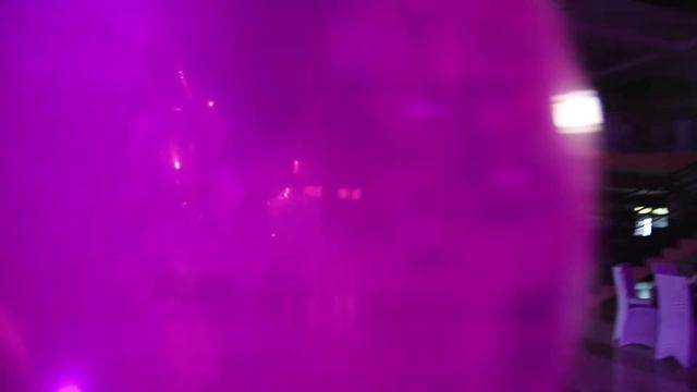 TEASER ANEMONA ZOOM ART FOTO VIDEO смотреть онлайн