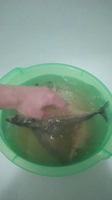 Скумбрия горячего копчения смотреть онлайн