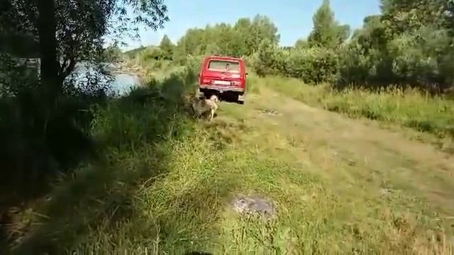 СЕВЕР - ГУЛЯЕТ смотреть онлайн