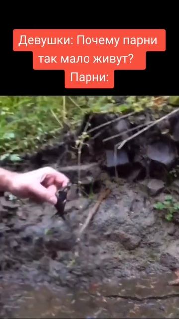 Ящерица #мем #мемы #юмор #угар #ржач #хочуврек #хочувреки #прикол #ютуб #рек #реки #youtube #memes смотреть онлайн