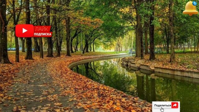 Семейные драмы