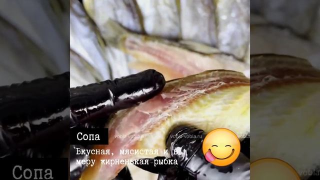 Сопа Астраханская, 1кг смотреть онлайн