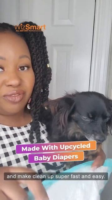 WizSmart is a MUST HAVE for older dogs! смотреть онлайн