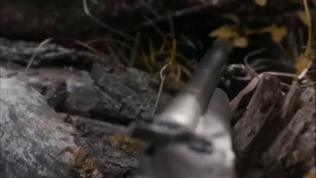 Российский фильм не взорвавший интернет--------Беглецы