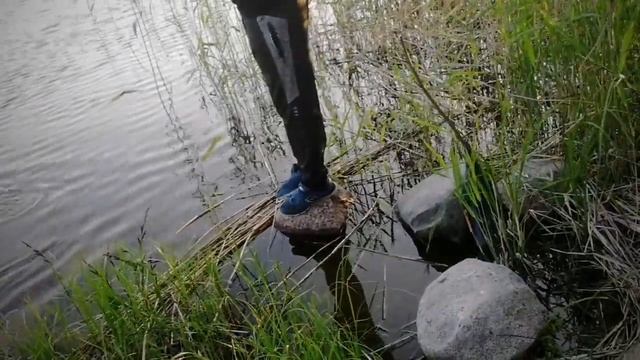 Поймали щуку 1,5 кг на поплавочную удочку! смотреть онлайн