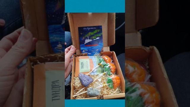 Аудио-отзыв от гостей, приезжавших к нам на Кольский в декабре 2022 года. смотреть онлайн