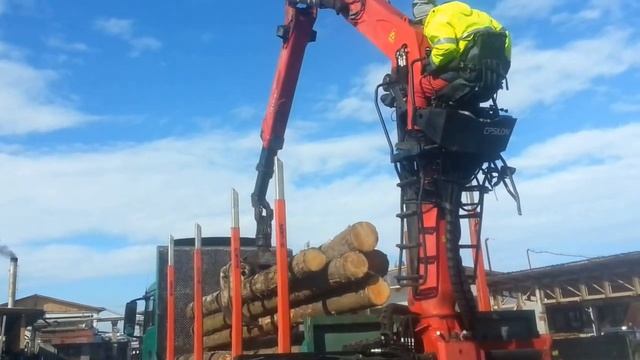 Epsilon Palfinger 150 Z Macara