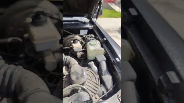 DERWAYS AURORA 325 тысяч рублей