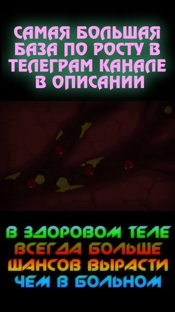 Как спорт влияет на занятия увеличения ростом