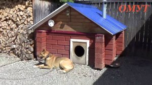 189. С ПРАЗДНИКОМ !!! И ПРИВЕТ от СОБАКЕНА...