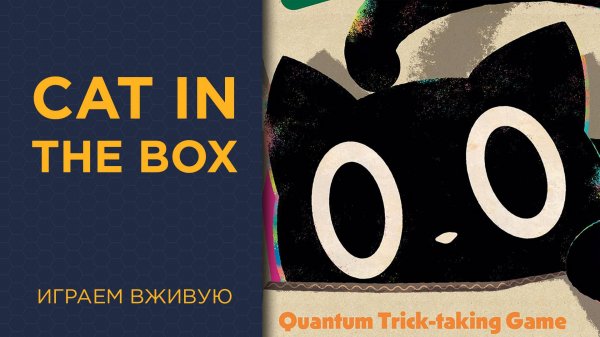 Cat in the Box — Играем вживую