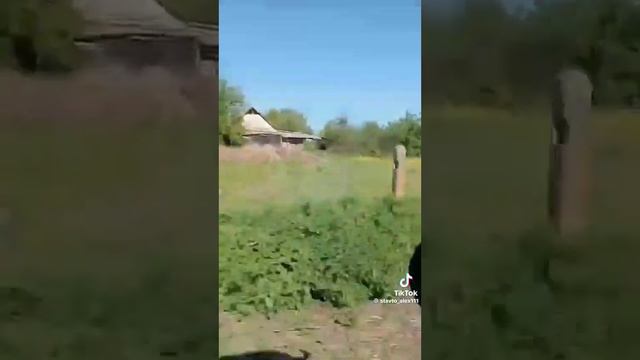 19 июня 2024 г. смотреть онлайн