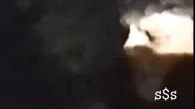 СЕКТОР ГАЗА - ВСЁ ИДЁТ ПО ПЛАНУ ( REMIX RS ) смотреть онлайн