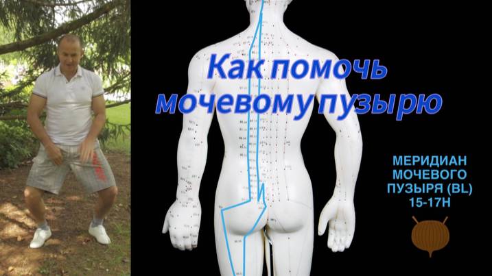 Как помочь мочевому пузырю