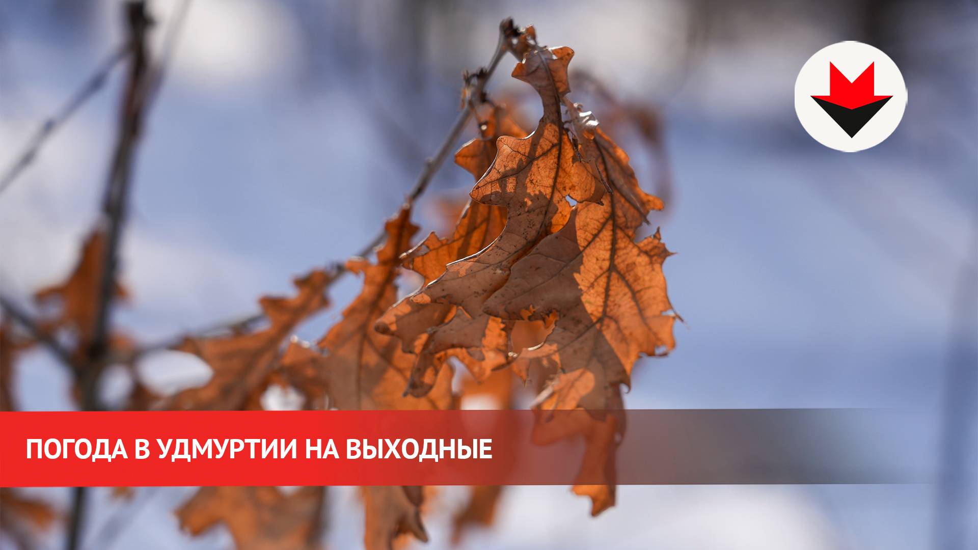 Погода в выходные в Удмуртии смотреть онлайн