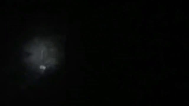 CAÇADA DE CUTIA NA CEVA DE MANDIOCA E ABACAXI TEVE SURPRESA FRITO GARANTIDO смотреть онлайн