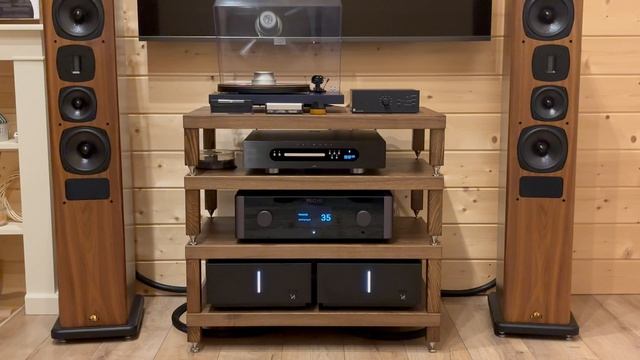 Как звучат кабели: Purist Audio Design Musaeus BiWire Diamond Revision 2.0m ban-ban смотреть онлайн